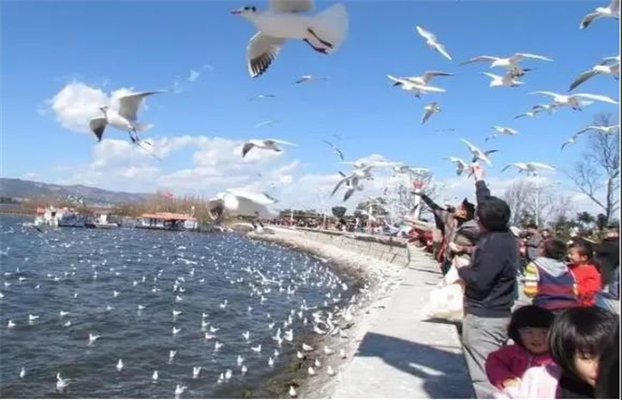 有山、有海、有古鎮....昆明這些秀麗風景邀你來打卡！