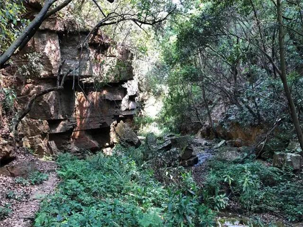 【潮玩】繁星四月，盡情去露營踏青吧！