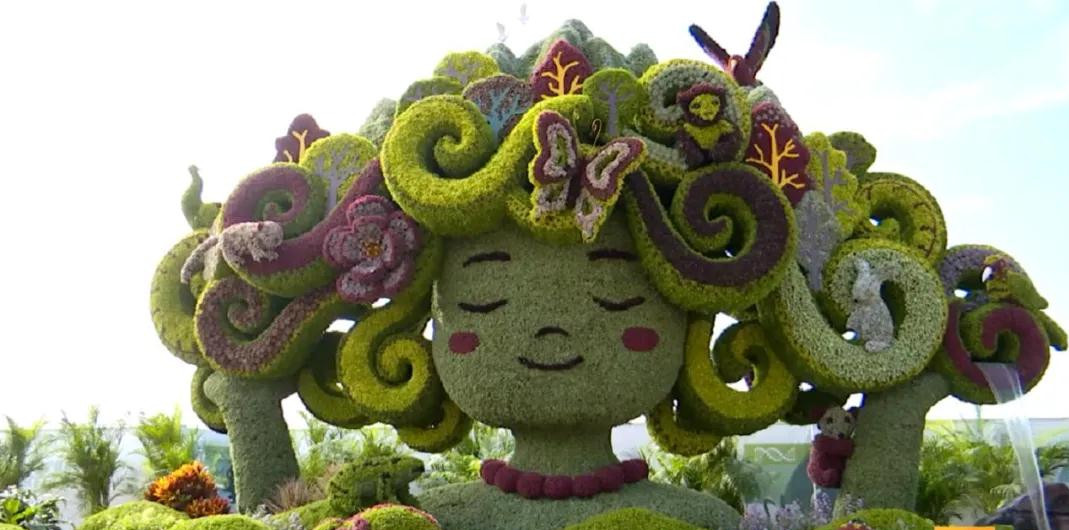 驚艷！昆明首次！快去打卡