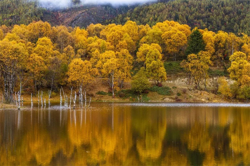 ?昆明策劃公司：云南的秋天“最云南”！15個絕美賞秋地，隨手一拍都適合當壁紙！