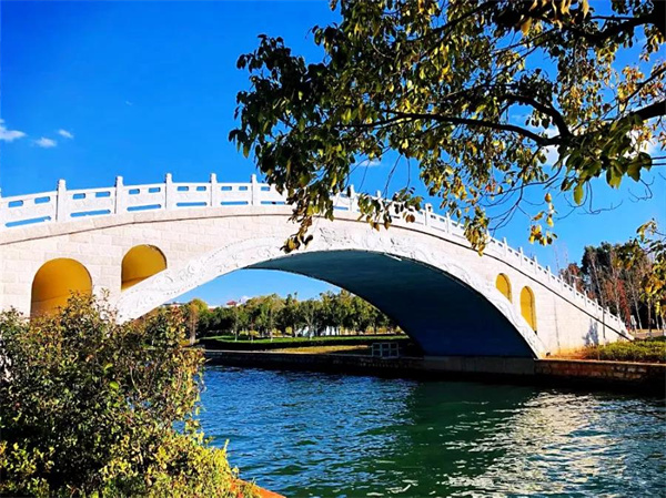 是時候去濕地公園轉(zhuǎn)轉(zhuǎn)了，水杉、白鷺、紅嘴鷗……多彩生物已上線！