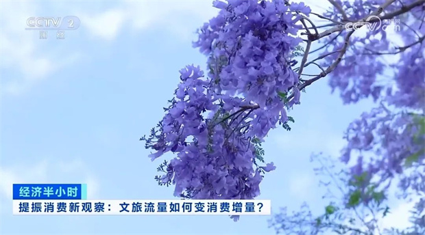 云南旅游,云南旅行社,云南團建公司,云南策劃公司,云南會議執行公司,昆明旅游,昆明旅行社,昆明團建公司,昆明策劃公司,昆明會議執行公司：央視13分鐘聚焦！昆明以花為媒提振消費 文旅流量變消費增量
