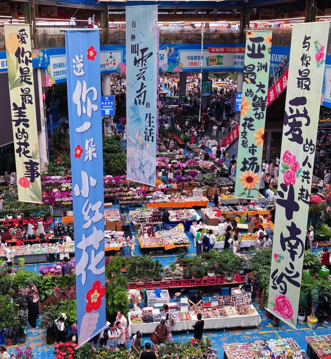 云南旅游,云南旅行社,云南團建公司,云南策劃公司,昆明旅游,昆明旅行社,昆明團建公司,昆明策劃公司,昆明會議會展：藏在春城，屬于昆明人的浪漫！