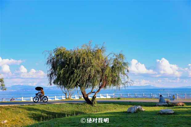 昆明旅游：忙趁東風放紙鳶！去有風的地方，在官渡放飛春日好春光~